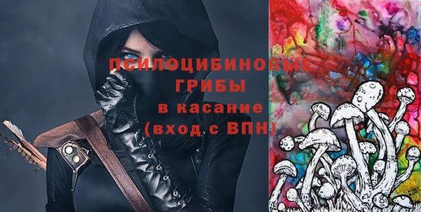 МДПВ Гусиноозёрск