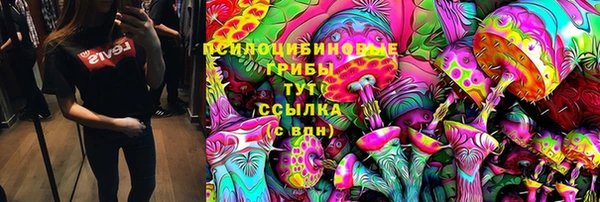 МДПВ Гусиноозёрск