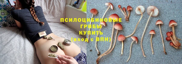 кокаин колумбия Гусев