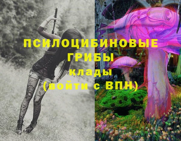 МДПВ Гусиноозёрск